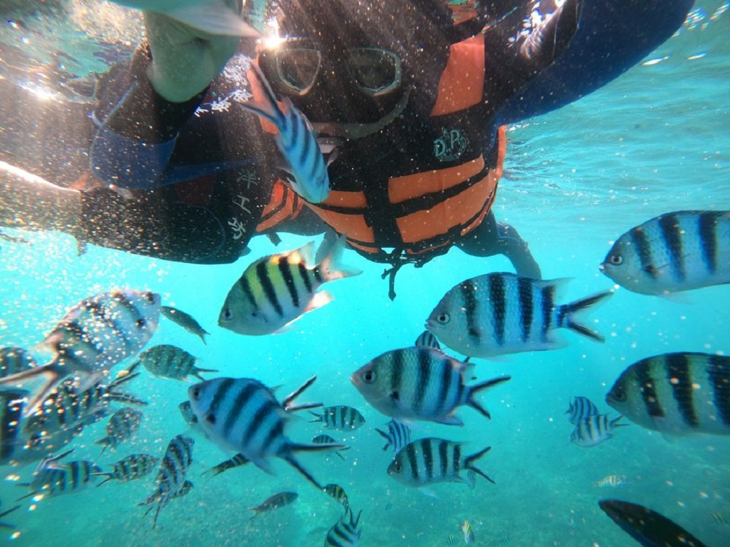 澎湖旅遊-浮潛加立式划槳(SUP)體驗